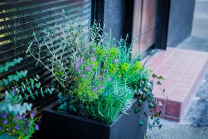 Badens バーデンス ﻿大阪市 泉南郡 熊取 美容院 美容室 髪質改善 ヘアエステ 美髪整形 ヘアサロンMARYSH HAIR 松下隆二 美容師 独立 開業