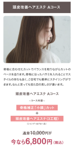 髪質頭皮改善Aコース Badens バーデンス ﻿大阪市 泉南郡 熊取 美容院 美容室 髪質改善 ヘアエステ 美髪整形 ヘアサロンMARYSH HAIR 松下隆二 美容師 独立 開業