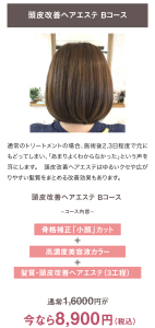 髪質頭皮改善Bコース Badens バーデンス ﻿大阪市 泉南郡 熊取 美容院 美容室 髪質改善 ヘアエステ 美髪整形 ヘアサロンMARYSH HAIR 松下隆二 美容師 独立 開業