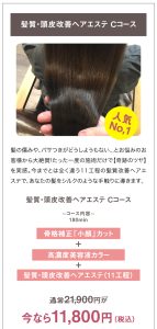 夏のキャンペーン Badens バーデンス ﻿大阪市 泉南郡 熊取 美容院 美容室 髪質改善 ヘアエステ 美髪整形 ヘアサロンMARYSH HAIR 松下隆二 美容師 独立 開業